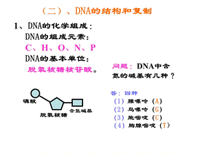 DNA的结构和复制ppt课件.ppt