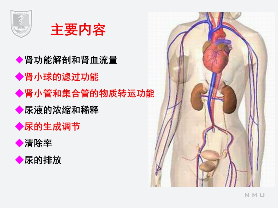 临床生理学第八章尿的生成和排出课件.ppt_第2页