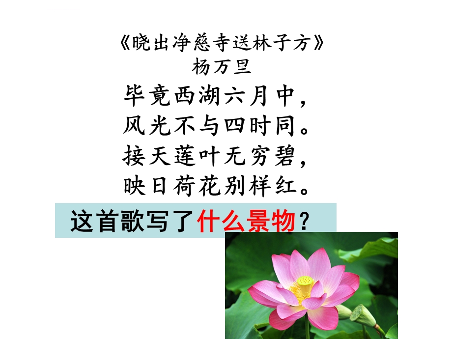 《我爱夏季》作文指导ppt课件.ppt_第1页