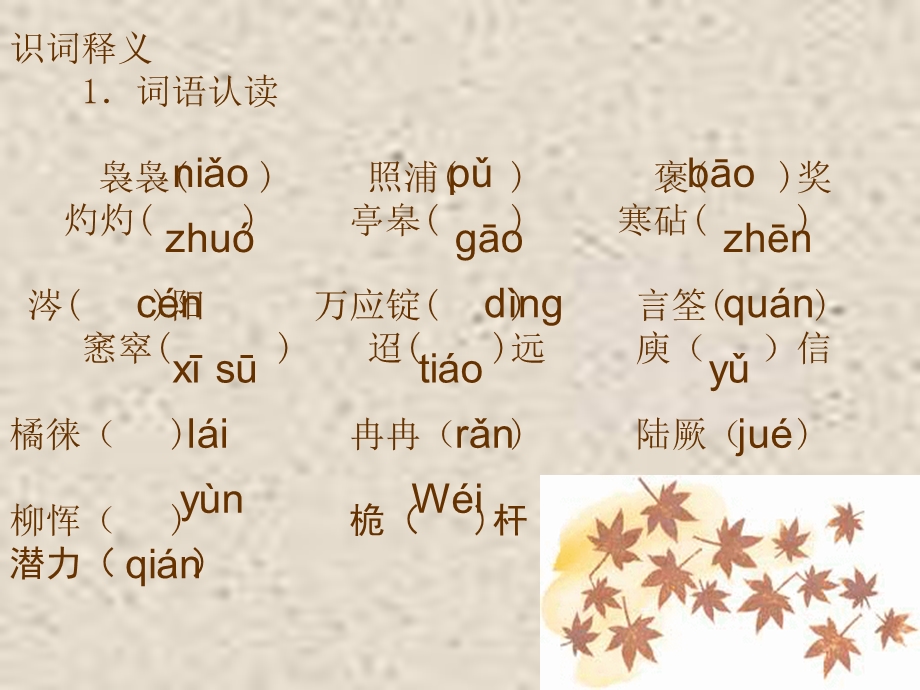 《说木叶》最终版ppt课件.ppt_第3页