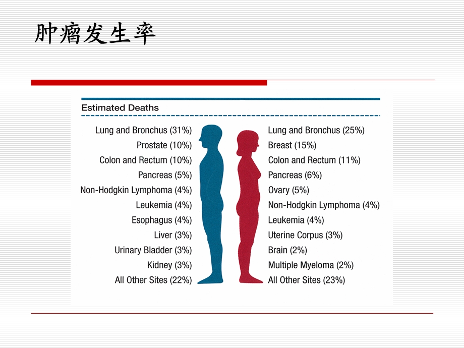 内科学淋巴瘤主题讲座课件.ppt_第3页