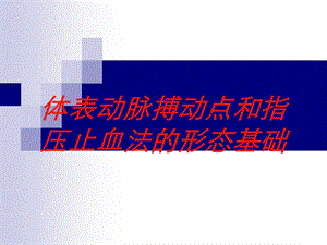 体表动脉搏动点和指压止血法的形态基础培训课件.ppt