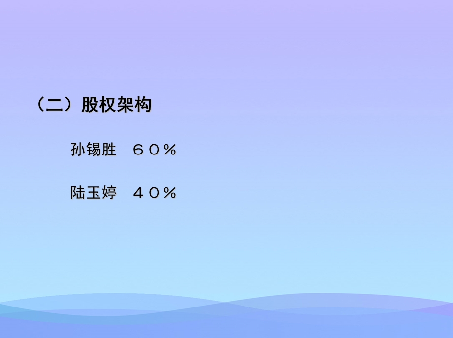 公司融资计划书2021优秀课件.ppt_第2页