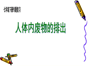 人体内废物的排出(复习)ppt课件.ppt