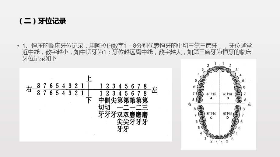 临床牙位的记录方法ppt课件.pptx_第3页