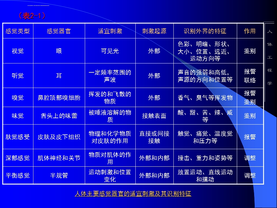 人体工程学2人体感知ppt课件.ppt_第3页