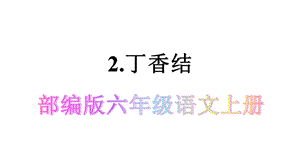 六年级语文上册《2丁香结》优质课件(部编版).pptx