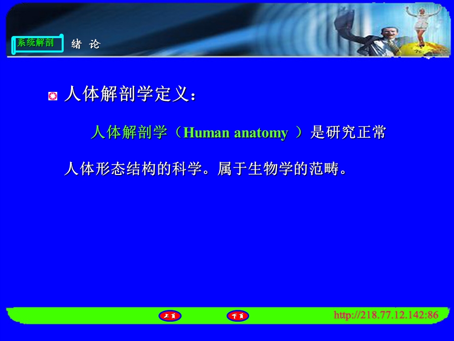 人体解剖绪论ppt课件.ppt_第3页