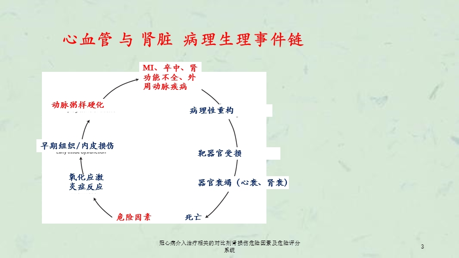 冠心病介入治疗相关的对比剂肾损伤危险因素及危险评分系统课件.ppt_第3页