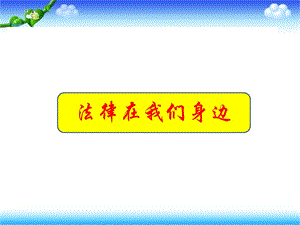 人教版《道德与法治》七年级下册第九课法律在我们身边 习题ppt课件.pptx