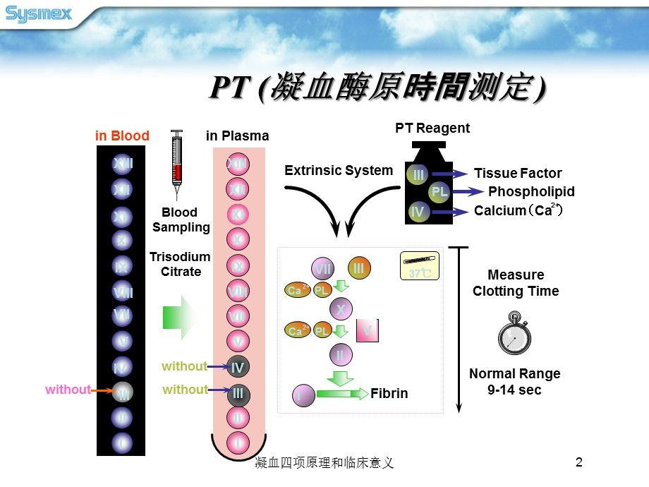 凝血四项原理和临床意义培训课件.ppt_第2页