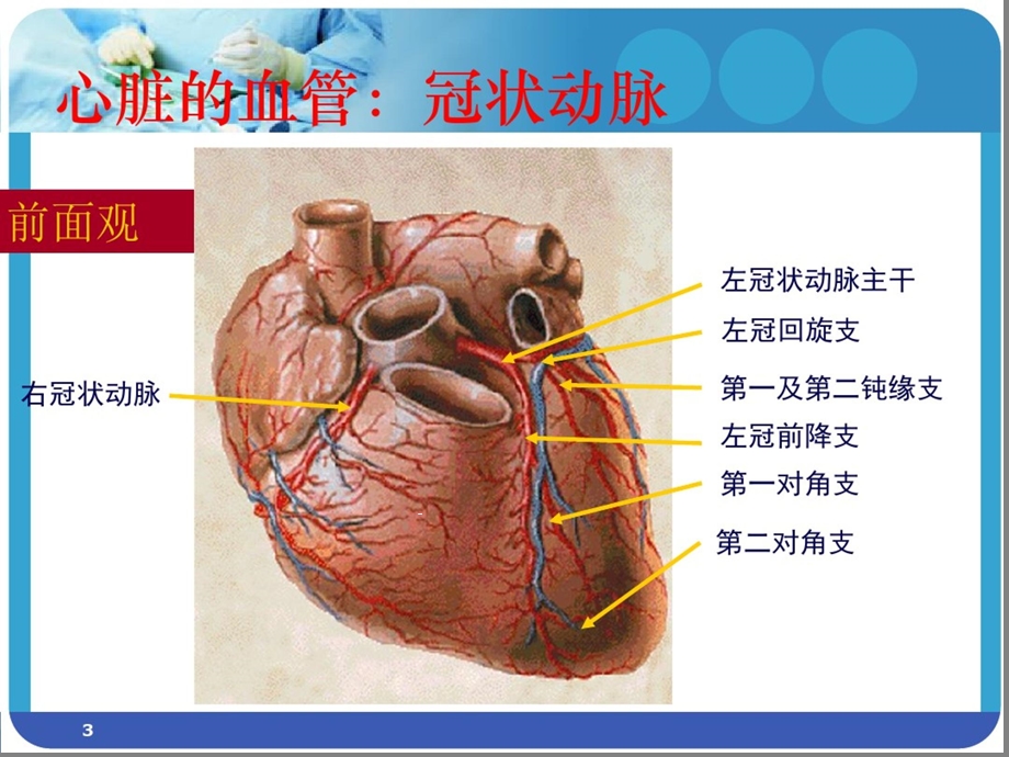 冠脉造影术的护理课件.ppt_第3页