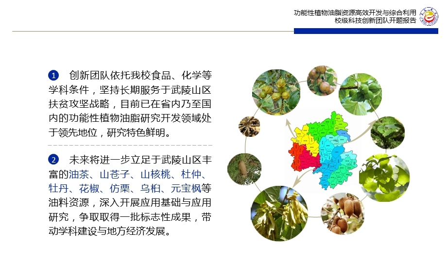 功能性植物油脂高效开发与综合利用校级创新团队开题报告课件.ppt_第3页