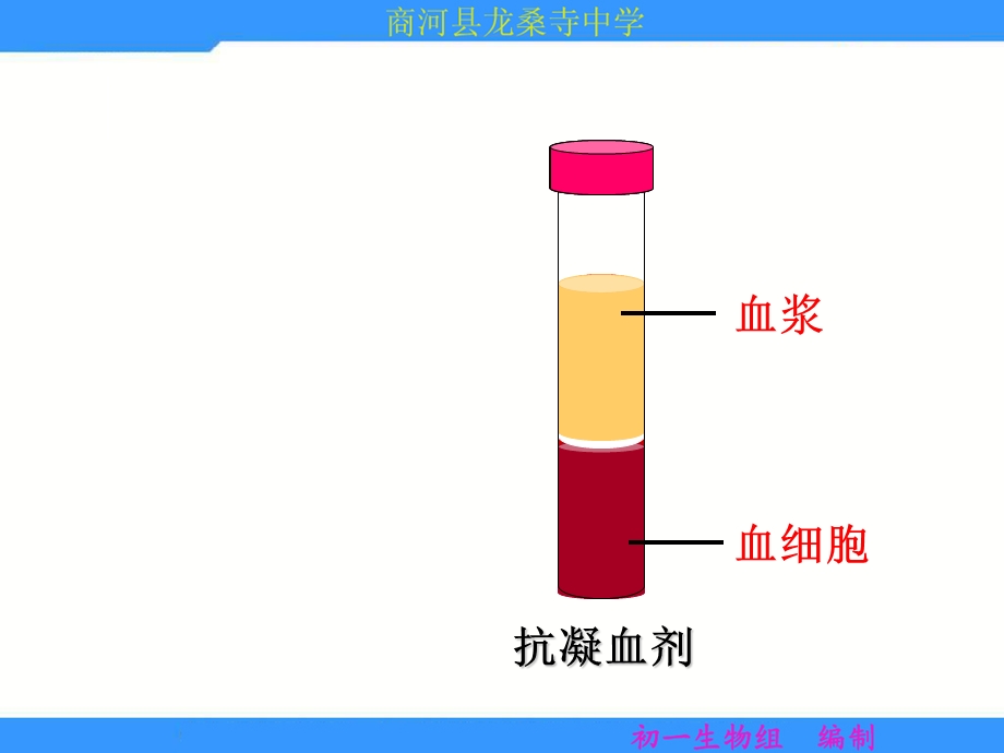 《物质运输的载体》ppt课件.ppt_第3页