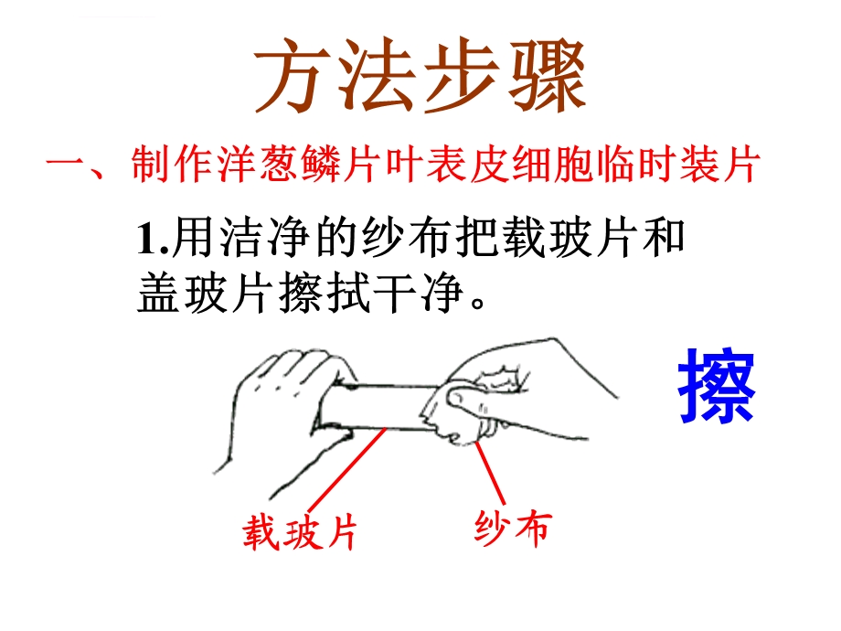 临时装片制作ppt课件.ppt_第3页