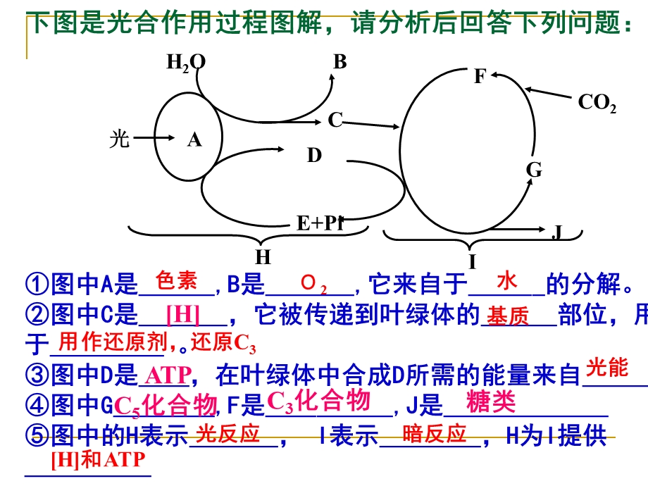 光合作用的原理和应用第课时课件.ppt_第2页