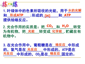 光合作用的原理和应用第课时课件.ppt