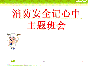 《消防安全记心中》主题班会ppt课件.ppt