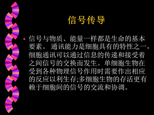 信号转导课件.ppt