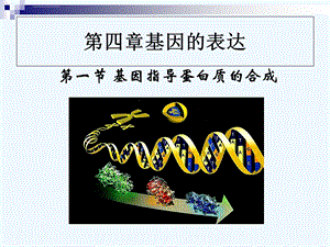 一轮基因的表达ppt课件.ppt