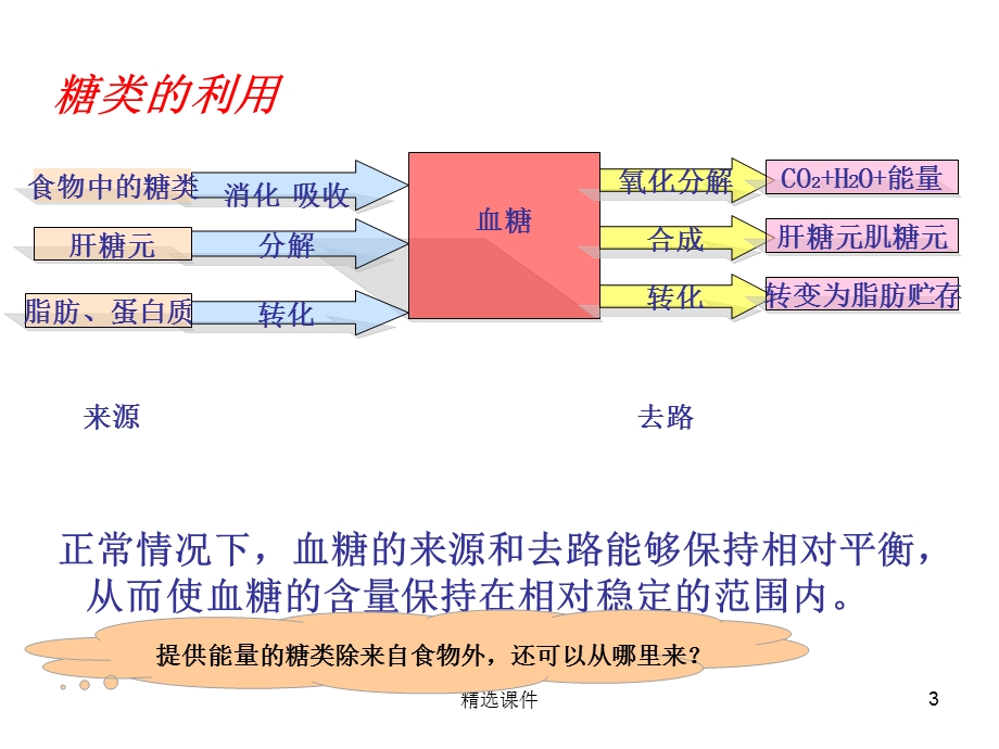 体内物质的动态平衡课件.ppt_第3页