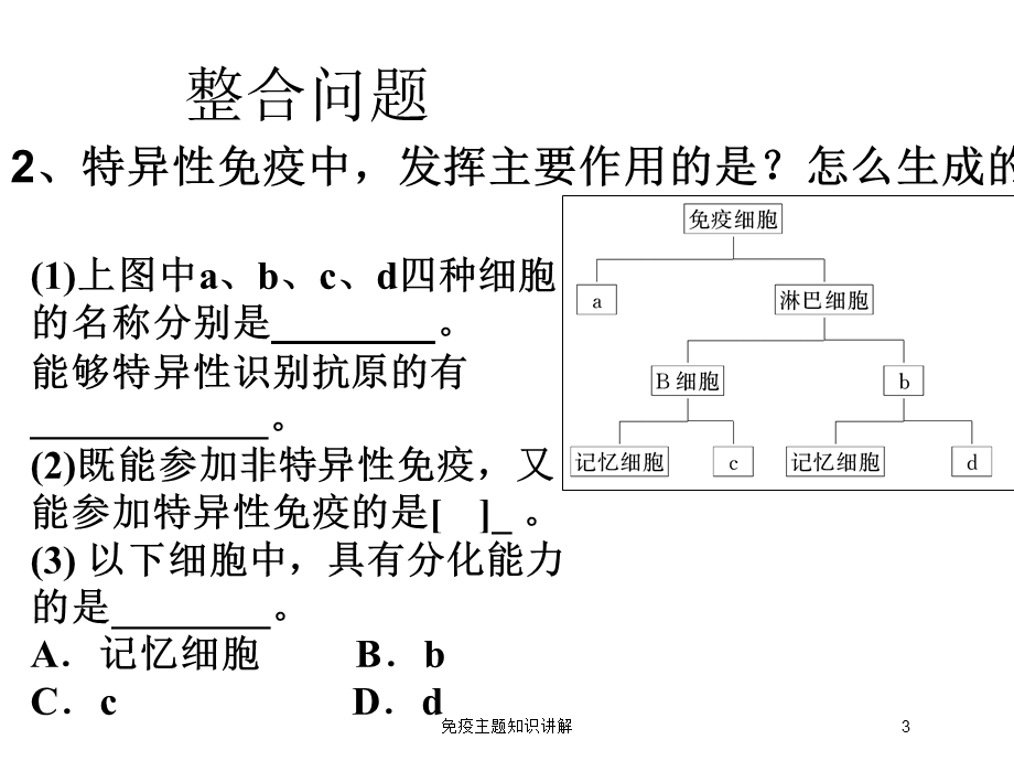 免疫主题知识讲解培训课件.ppt_第3页