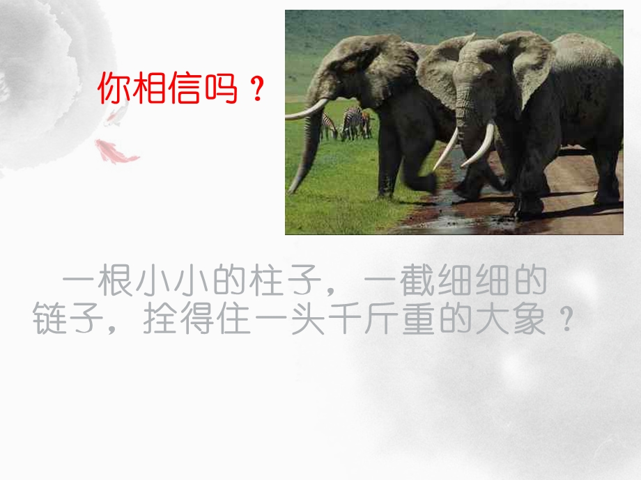 《好习惯成就人生》PPT课件整理.pptx_第3页