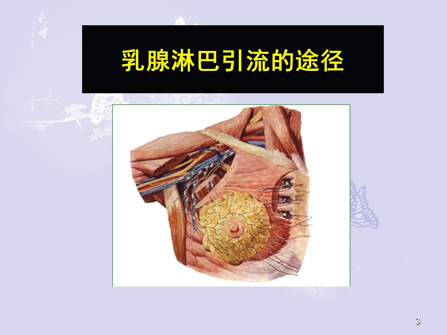 乳腺淋巴结ppt课件.ppt_第3页