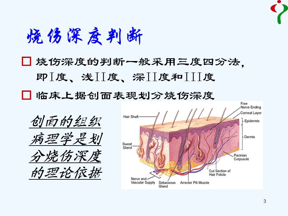 全科医师培训物理损伤课件.ppt_第3页