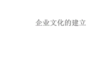 公司运营中的企业文化建设方案.pptx