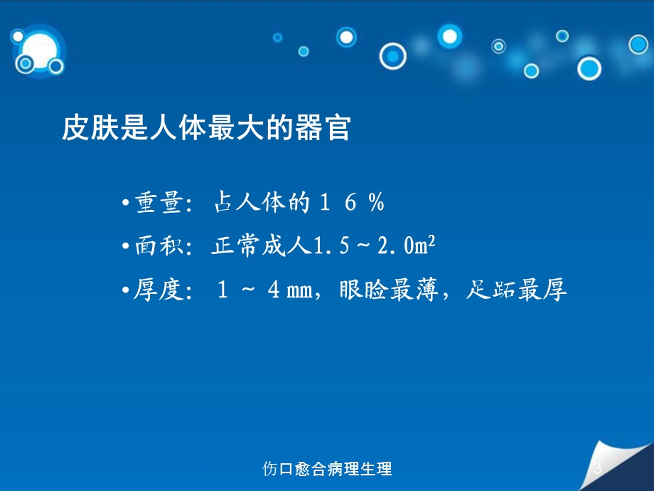 伤口愈合病理生理培训课件.ppt_第3页