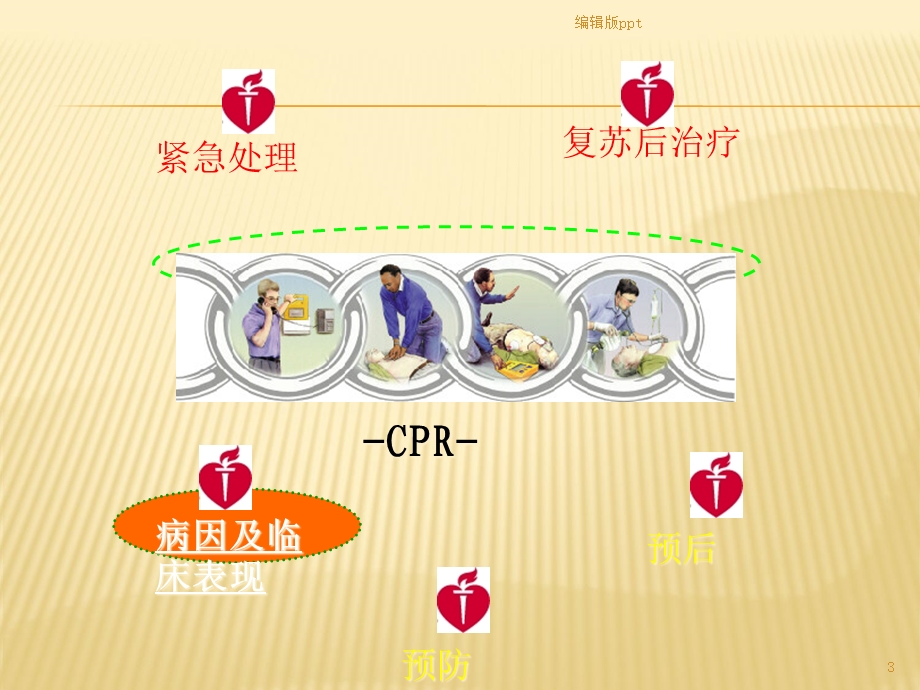 内科学心跳骤停与心脏性猝死课件.ppt_第3页