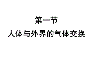 人体与外界的气体交换ppt课件.ppt