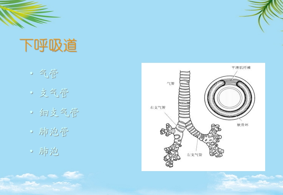 儿童呼吸系统病的预防课件.ppt_第3页