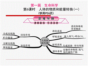 人体的物质和能量转换(一)ppt课件.pptx