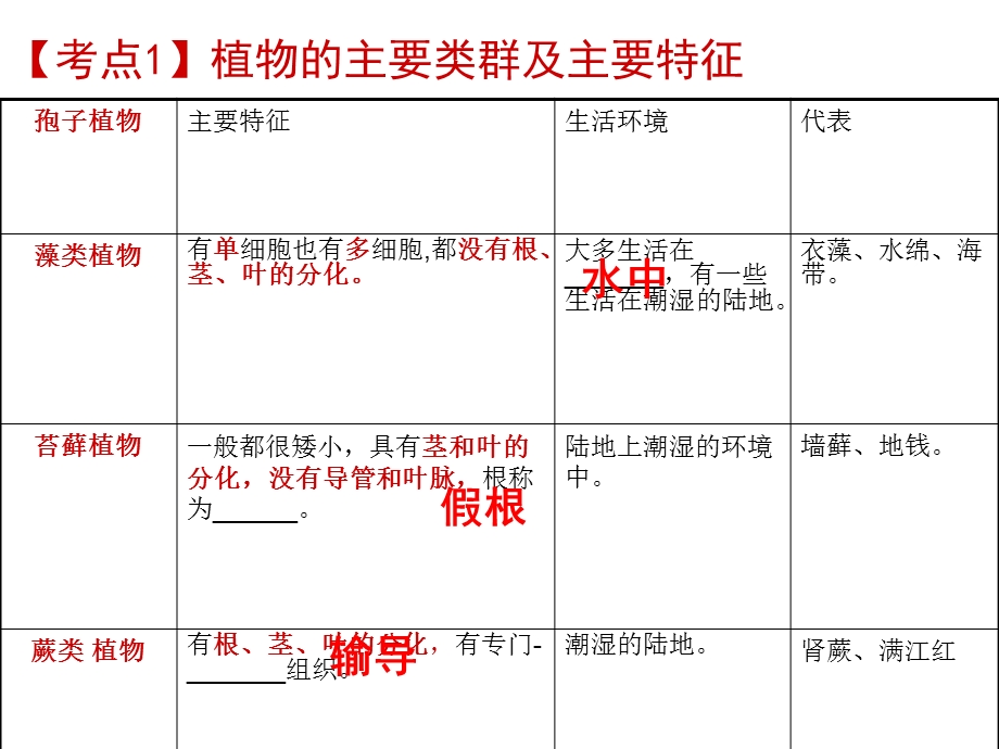 七年级生物第三单元复习ppt课件.ppt_第3页