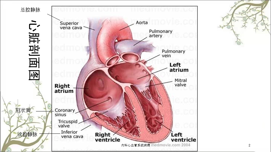 内科心血管系统疾病课件.ppt_第2页