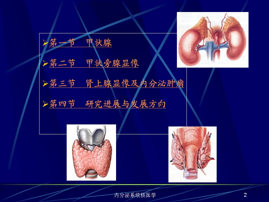 内分泌系统核医学课件.ppt_第2页