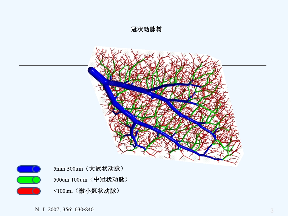 冠状动脉微血管病变与对策课件.ppt_第3页