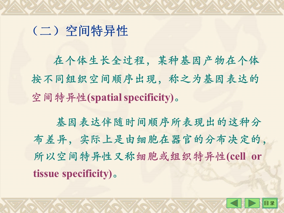 《现代分子生物学》第八章真核生物基因表达调控ppt课件.ppt_第2页