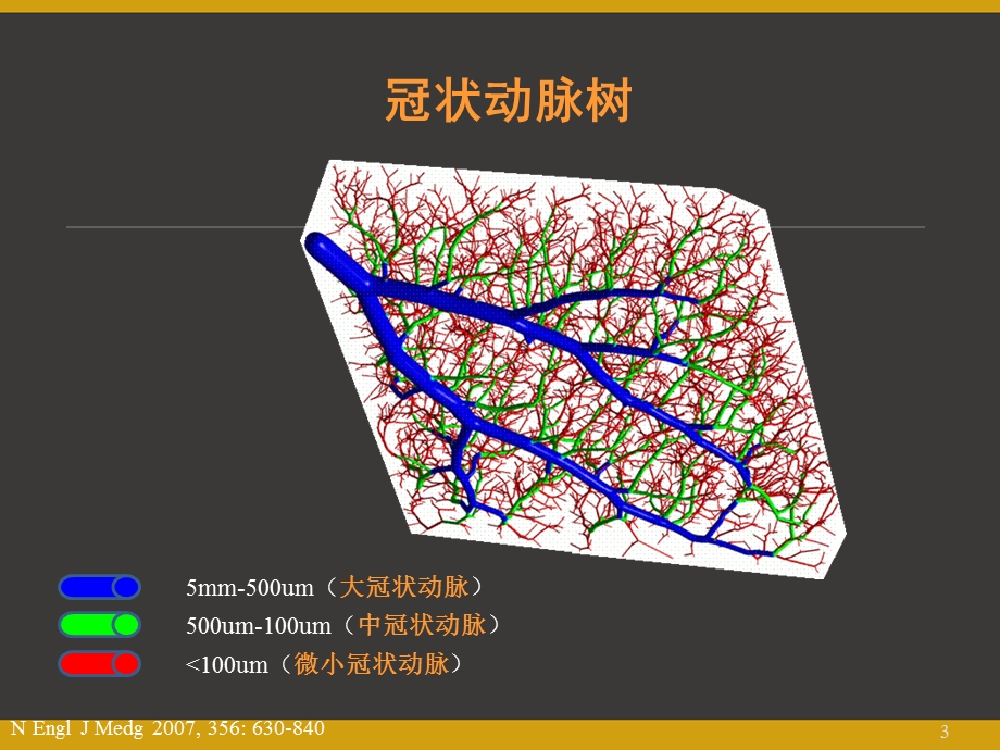 冠状动脉微血管病变和对策课件.pptx_第3页