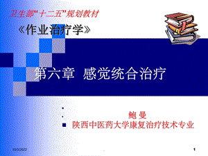 六章感觉统合治疗课件.ppt