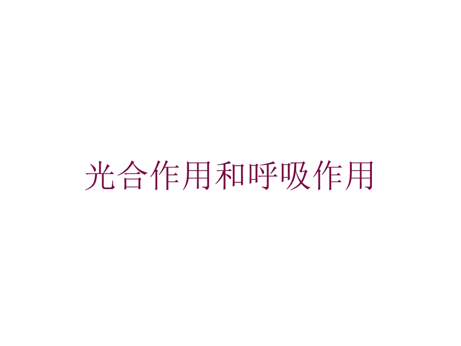 光合作用和呼吸作用培训课件.ppt_第1页