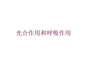 光合作用和呼吸作用培训课件.ppt