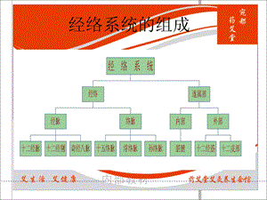 主要穴位讲解ppt课件.ppt