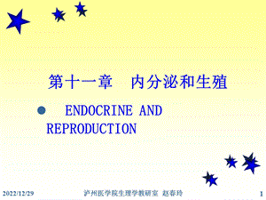 内分泌系统11共87张课件.ppt