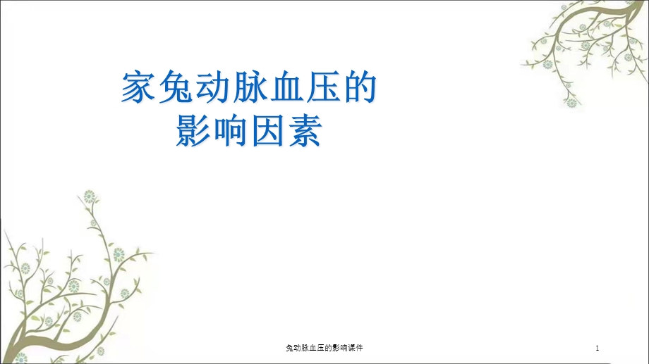 兔动脉血压的影响课件.ppt_第1页