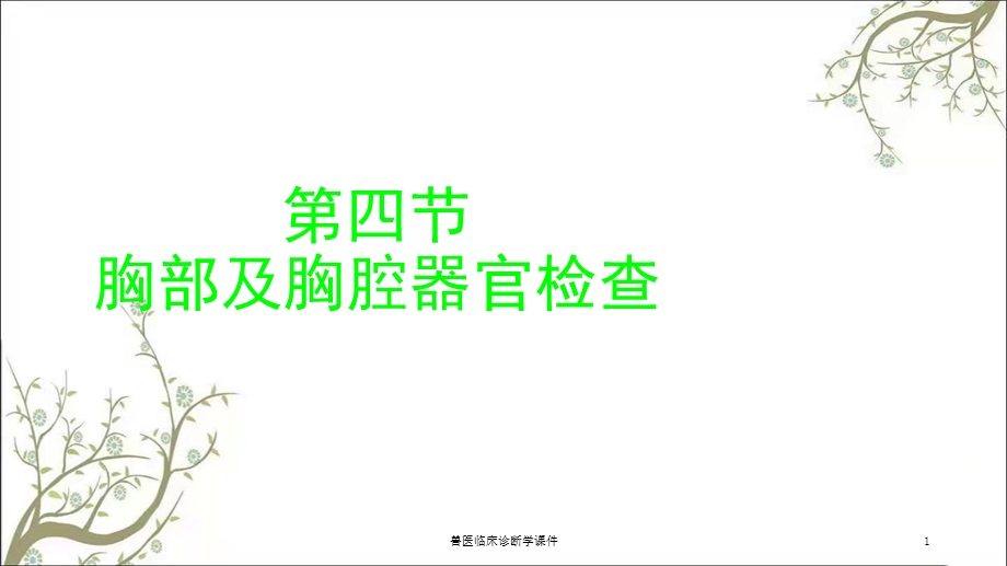 兽医临床诊断学课件.ppt_第1页