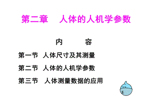 人体的人机学参数总结ppt课件.ppt