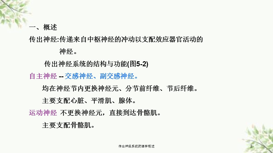 传出神经系统药理学概述课件.ppt_第2页